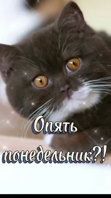 Утро Наполняет Сердце Любовью