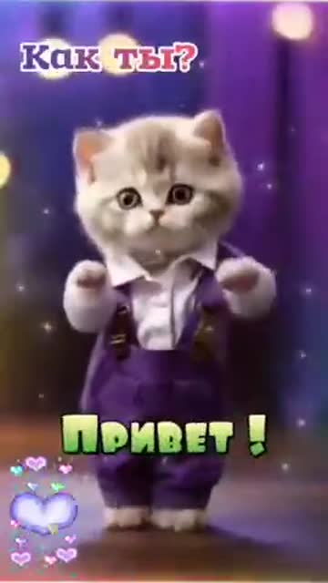 Утренний Ветер Несет Свет И Мир