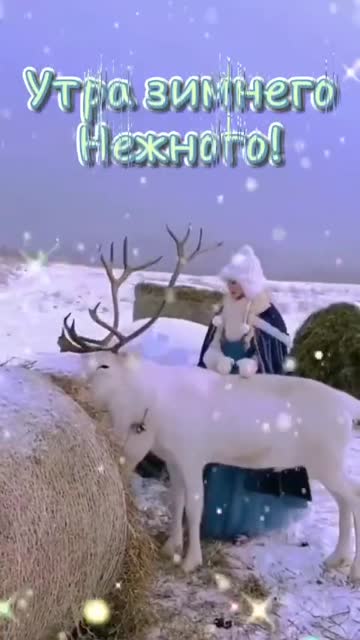 Утро Приносит Спокойствие И Любовь