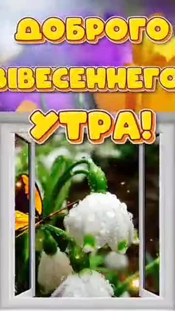 Яркое Утро Приносит Надежду