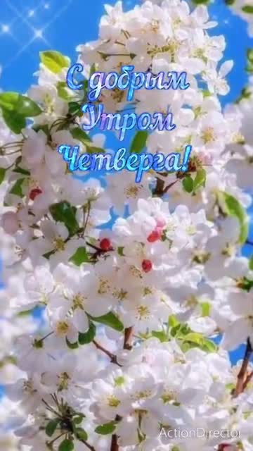 Свежесть Утра Открывает Душу