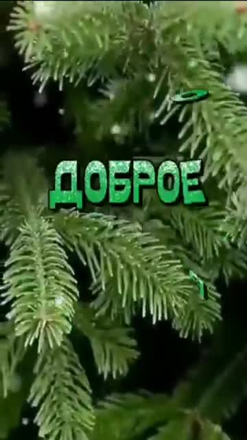 Утренние Мгновения Счастья Для Тебя