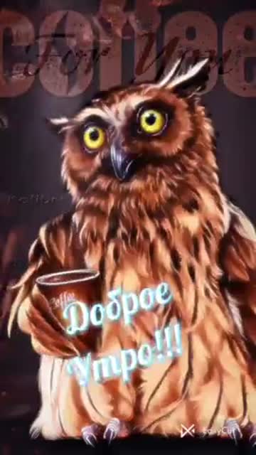 Утро Дарит Гармонию И Мир