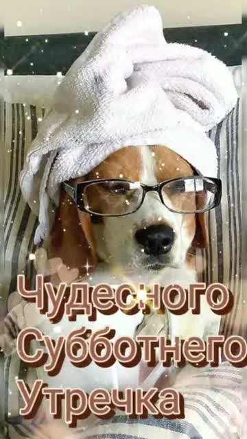 Яркое Утро Для Твоей Души