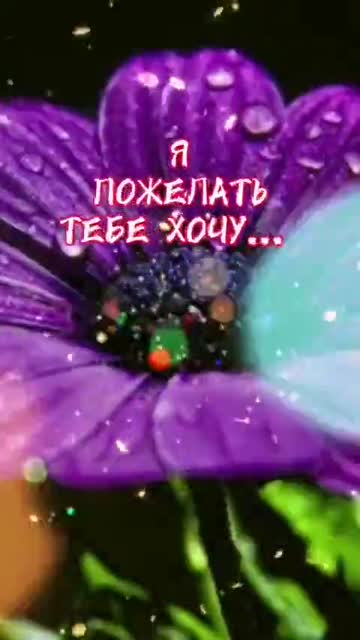 Утро Дарит Новый День