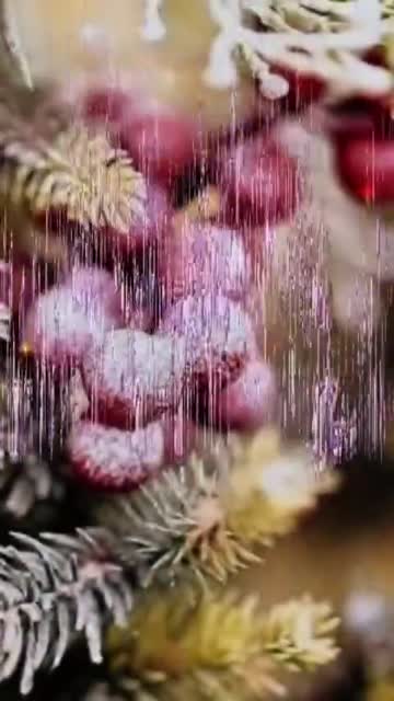 Свет Утра Наполняет Сердце