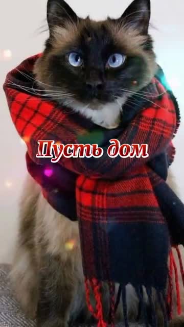 Доброе Утро Для Друзей