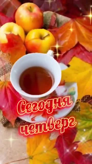 Утро Наполняет Мир Светом