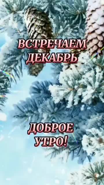 Утро Дарит Спокойствие И Гармонию