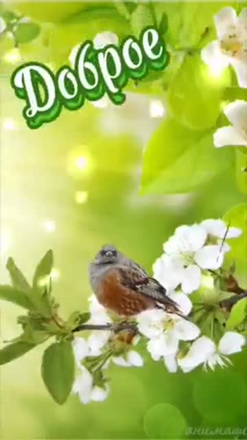 Яркое Утро Вдохновения и Надежды