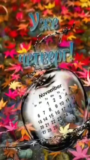 Свет Утра Открывает Новый День