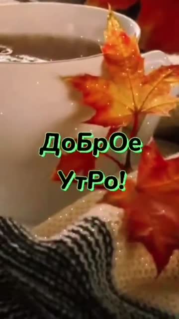 Утренние Лучи Пробуждают Радость