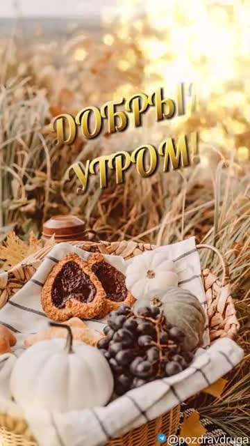 Утро Приносит Свет И Гармонию