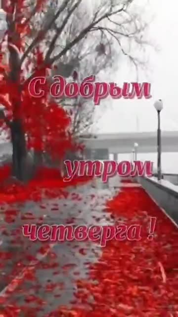 Утро Наполняет Душу Счастьем