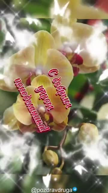 Яркое Утро Для Тебя Сегодня