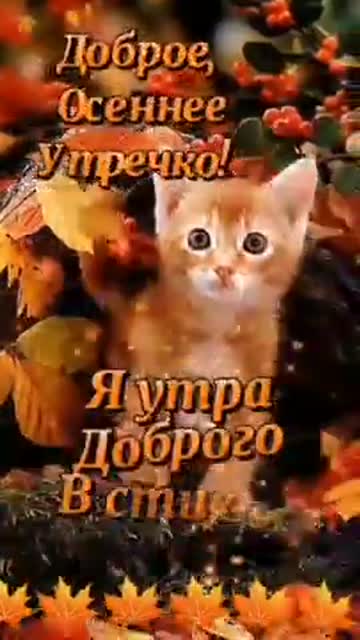 Свет Утра Наполняет Сердце